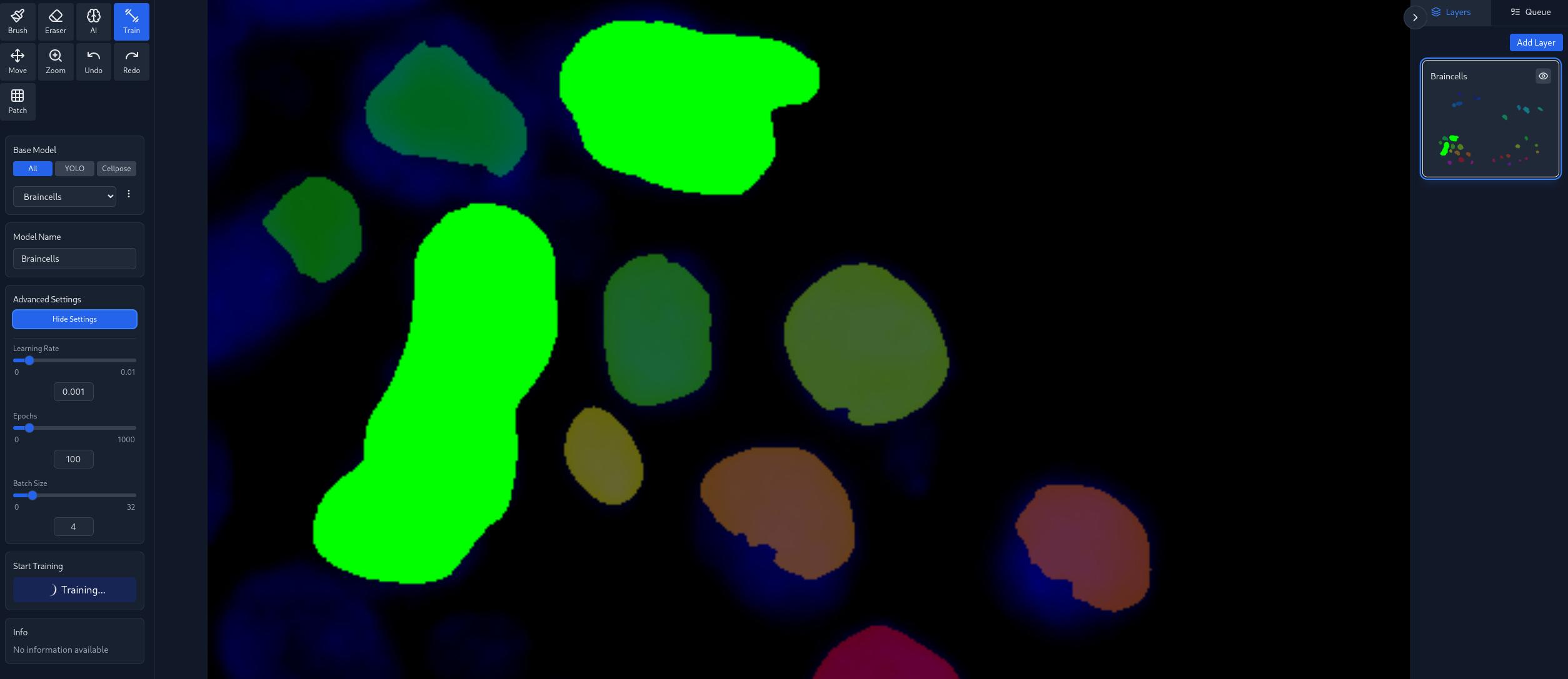 Cell Analysis 2