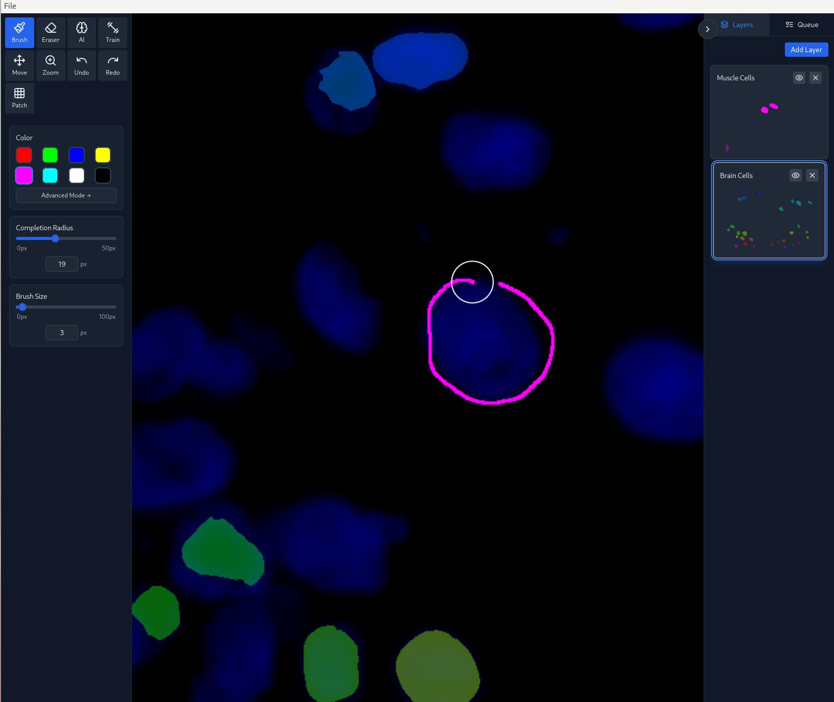 Cell Analysis 3